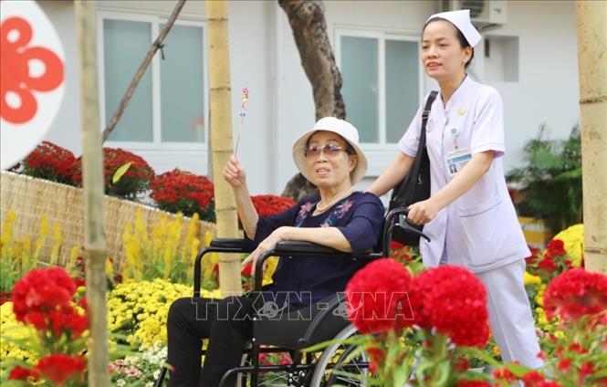 Nhân viên y tế đưa người bệnh ngắm đường hoa mừng xuân Bệnh viện Chợ Rẫy. Ảnh: Đinh Hằng - TTXVN