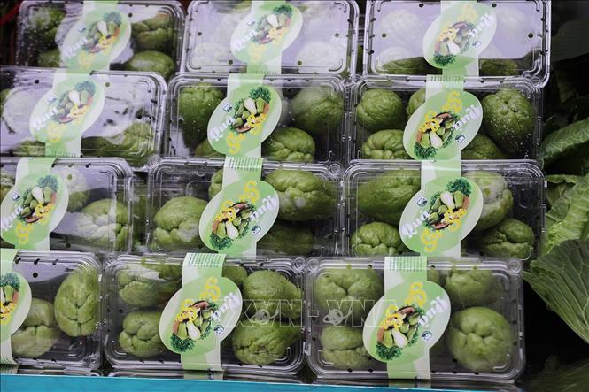 Sản phẩm Susu của HTX A Hiệp xã Pà Cò tỉnh Phú Thọ. Ảnh: Trọng Đạt-TTXVN 