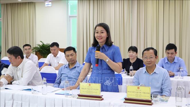 Đại biểu phát biểu tại hội nghị. Ảnh: Hồng Thái - TTXVN