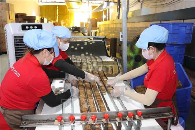Sản xuất bánh tại Công ty TNHH bánh kẹo thực phẩm TSG. Ảnh: Thanh Bình - TTXVN