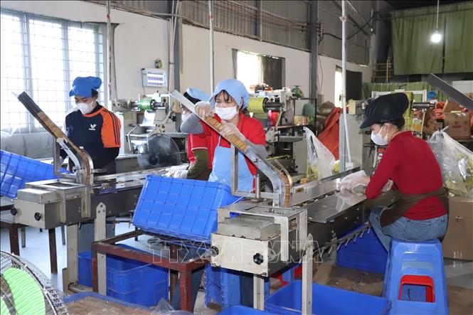 Sản xuất bánh tại Công ty TNHH bánh kẹo thực phẩm TSG, phường Tân An, tỉnh Tây Ninh. Ảnh: Thanh Bình - TTXVN