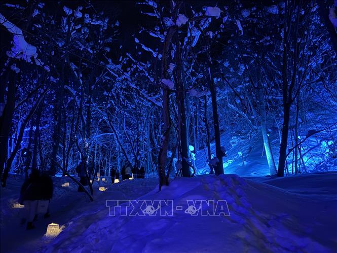 Khu rừng phía sau đền Jozankei cũng được chiếu sáng huyền ảo. Ảnh: Xuân Giao - PV TTXVN tại Nhật Bản