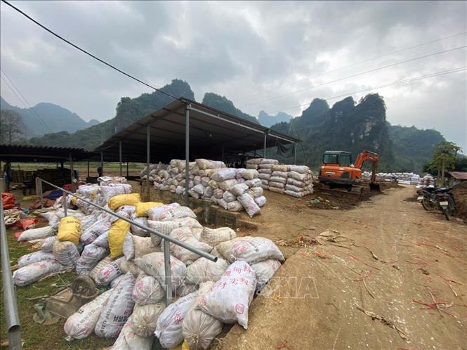 Cơ sở sơ chế bột dong của anh Hoàng Trung Thực, xóm Án Lại, xã Nguyễn Huệ (Cao Bằng) đang hoạt động hết công suất để giải quyết sản phẩm dư thừa cho nông dân. Ảnh: Quốc Đạt - TTXVN