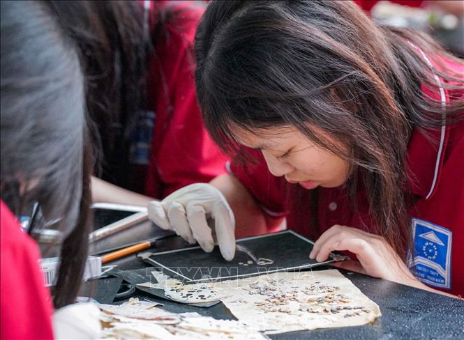 Hoạt động trải nghiệm sáng tạo khảm trai trên chất liệu giấy của học sinh trường THPT Trần Phú - Hoàn Kiếm (phường Cửa Nam) ngày 1/2/2026. Ảnh: Khánh Hoà - TTXVN