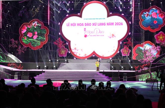 Phó Chủ tịch UBND tỉnh Lạng Sơn Đoàn Thanh Sơn phát biểu khai mạc lễ hội. Ảnh: Văn Đạt - TTXVN