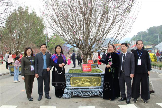 Ban Tổ chức công bố giải Nhất cuộc thi cây đào đẹp xứ Lạng năm 2026. Ảnh: Văn Đạt - TTXVN