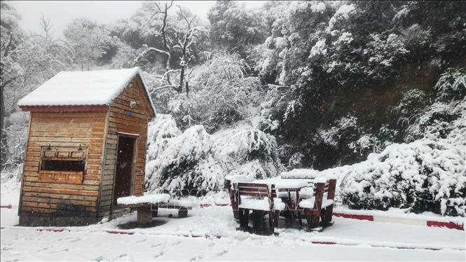 Tuyết rơi dày tạo nên cảnh đẹp như tranh vẽ. Ảnh: Mạnh Hùng - P/v TTXVN tại Algeria 