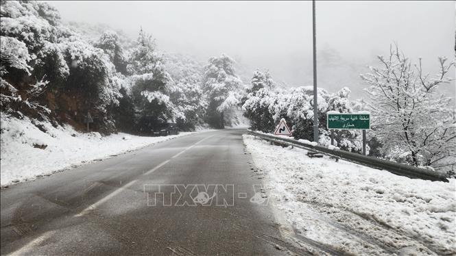 Đường lên thị trấn dài khoảng 25 km. Ảnh: Mạnh Hùng - P/v TTXVN tại Algeria 