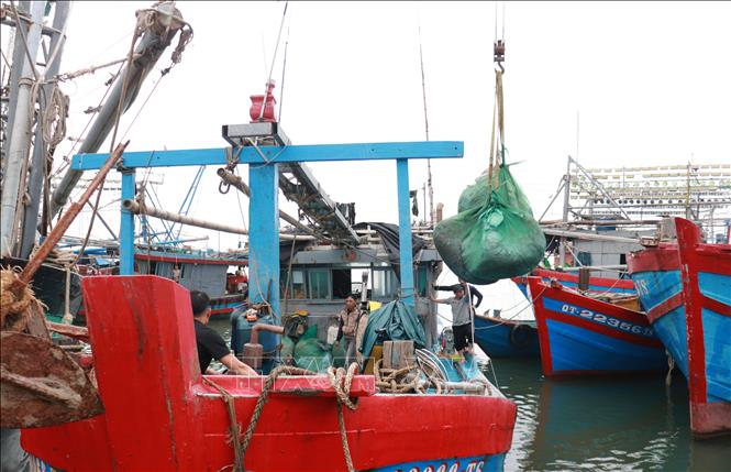 Ngư dân khẩn trương chuẩn bị ngư lưới cụ, lấy đá lạnh, nhiên liệu và nhu yếu phẩm cho chuyến biển cuối năm. Ảnh: Tường Vi - TTXVN