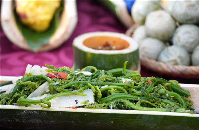 Món nộm rau dớn và măng được các đầu bếp đựng trong ống nứa, một vật dụng dễ kiếm, dễ làm và đặc trưng của vùng Tây Bắc. Ảnh: Trung Kiên - TTXVN