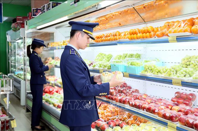 Cán bộ Chi cục Quản lý thị trường tỉnh Quảng Trị tăng cường kiểm tra nguồn gốc các mặt hàng trái cây dịp Tết Nguyên đán 2026. Ảnh: Tá Chuyên - TTXVN