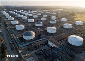 Giá dầu thế giới giảm khi căng thẳng Mỹ-Iran có dấu hiệu hạ nhiệt