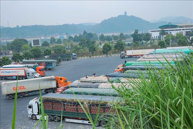 Xe chở hàng hoá Việt Nam chờ làm thủ tục thông quan tại Cửa khẩu quốc tế đường bộ số II Kim Thành. Ảnh: Hoàng Hiếu - TTXVN