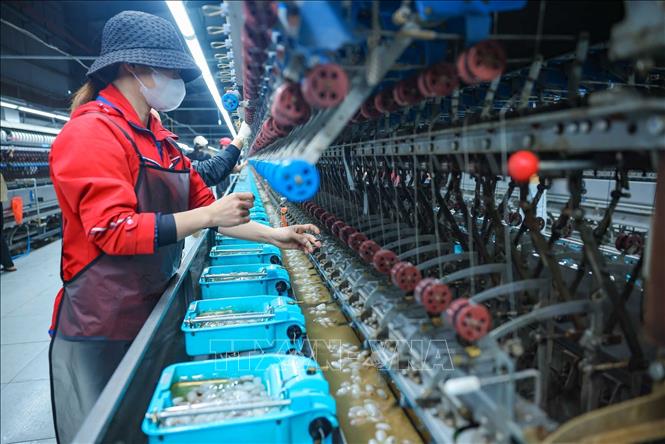 Việc đầu tư dây chuyền ươm tơ hiện đại giúp các sản phẩm tơ của nhà máy Công ty Cổ phần Dâu tằm tơ Yên Bái đạt chất lượng cao, được xuất sang Ấn Độ, Trung Quốc và đang mở rộng ra các nước như Nhật Bản, EU. Ảnh: Hoàng Hiếu - TTXVN