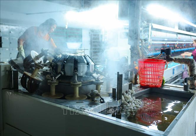 Công ty đầu tư 6 dây chuyền ươm tơ tự động, giúp đáp ứng nhu cầu ngày càng cao về chất lượng sản phẩm. Ảnh: Hoàng Hiếu - TTXVN