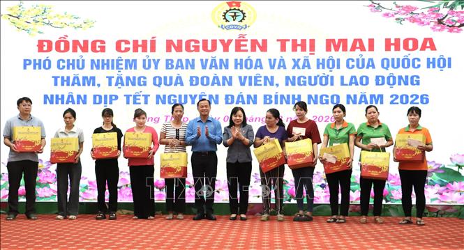 Đồng chí Nguyễn Thị Mai Hoa, Phó Chủ nhiệm Ủy ban Văn hoá và Xã hội của Quốc hội trao quà Tết cho người lao động có hoàn cảnh khó khăn trên địa bàn phường Cao Lãnh. Ảnh: Hồng Nhung - TTXVN
