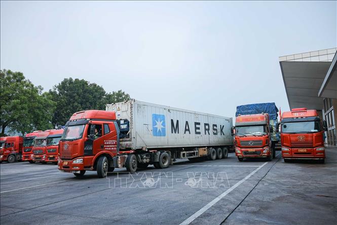 Xe chở hàng hoá nhập khẩu chờ làm thủ tục thông quan tại Cửa khẩu quốc tế đường bộ số II Kim Thành. Ảnh: Hoàng Hiếu - TTXVN