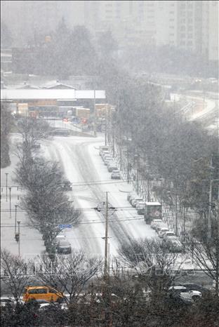 Tuyết rơi dày tại Daegu, Hàn Quốc. Ảnh: Yonhap/TTXVN