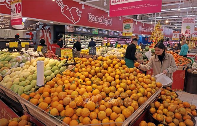 Các mặt hàng trái cây được nhập từ nhiều tỉnh thành trong nước bày bán tại Siêu thị Go!. Ảnh: Trần Việt - TTXVN