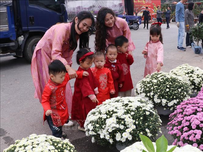 Không khí nhộn nhịp tại chợ hoa xuân Hoa Lư, phường Hoa Lư, tỉnh Ninh Bình. Ảnh: Hải Yến - TTXVN