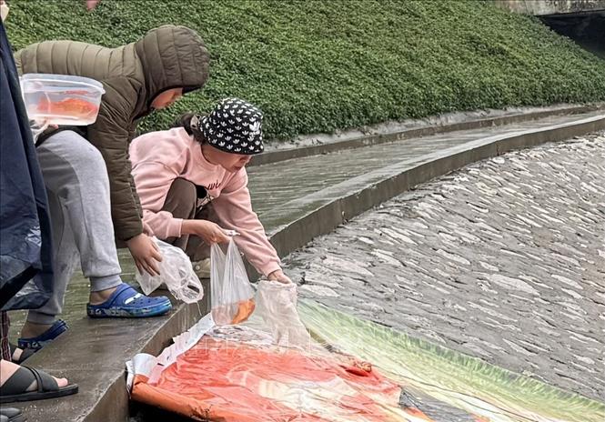 Người dân phóng sinh cá tại Hồ công viên Thanh Xuân sau lễ cúng Ông Công, Ông Táo. Ảnh: Quốc Lũy - TTXVN