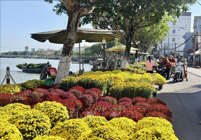 Hoa cúc rực rỡ tại chợ hoa xuân Long Xuyên. Ảnh: Thanh Sang-TTXVN
	