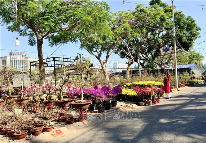 Chợ hoa xuân Long Xuyên trở thành điểm đến quen thuộc của người dân mỗi dịp Tết đến, Xuân về. Ảnh: Thanh Sang-TTXVN