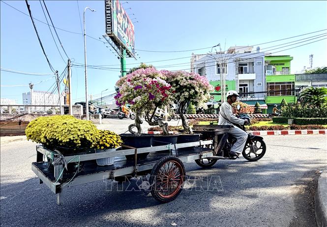 Chở hoa đi giao cho người mua. Ảnh: Thanh Sang-TTXVN
