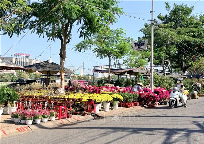 Chợ hoa xuân Long Xuyên rực rỡ sắc màu trong những ngày giáp Tết Nguyên đán. Ảnh: Thanh Sang-TTXVN