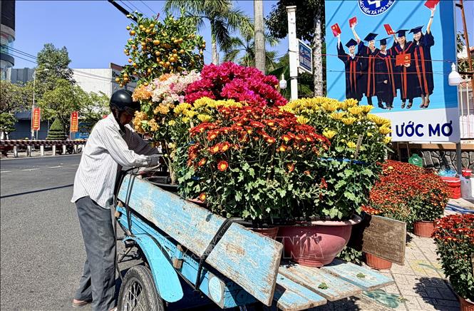 Hoa xuân đã sẵn sàng lên đường, mang Tết đến từng nhà. Ảnh: Thanh Sang-TTXVN
