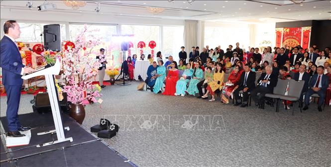 Quang cảnh chương trình mừng Xuân Bình Ngọ 2026. Ảnh: Hương Giang - PV TTXVN tại Bỉ
