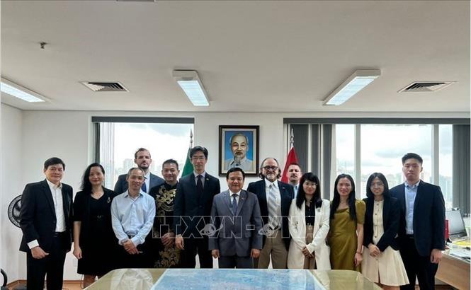 Lễ ký kết Biên bản ghi nhớ (MOU) giữa Phòng Thương mại Brazil – Việt Nam (BVC) và Phòng Thương mại và Công nghiệp Brazil – Việt Nam bang Espírito Santo (CCBV-ES) tại Sao Paulo ngày 7/2. Ảnh: Đại sứ quán cung cấp