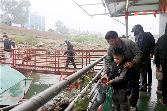 Hoạt động thả cá được tỉnh Tuyên Quang tổ chức theo hướng văn minh, bảo vệ môi trường. Ảnh: Hoàng Hải - TTXVN