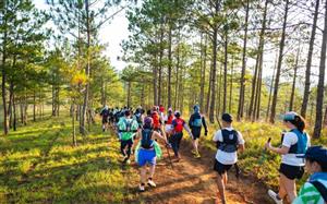 Dalat Ultra Trail 2026 bắt tay Kailas FUGA, nâng chuẩn trải nghiệm chạy địa hình