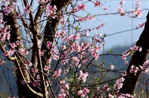 Ủy viên Bộ Chính trị Nguyễn Thanh Nghị chúc Tết nhân dân nơi địa đầu cực Nam Tổ quốc