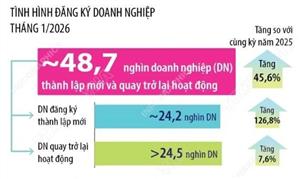 Tháng 1/2026: Số doanh nghiệp thành lập mới và quay trở lại hoạt động tăng 45,6%