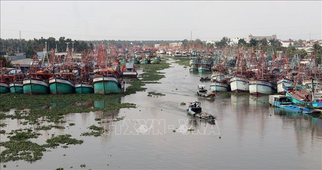 Tàu cá trên sông Cái Bé, xã Bình An (An Giang). Ảnh: Lê Huy Hải - TTXVN