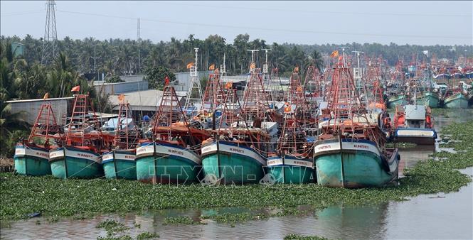 Tàu cá trên sông Cái Bé, xã Bình An (An Giang). Ảnh: Lê Huy Hải - TTXVN
