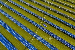 Nhiều dự án điện mặt trời và điện gió bị chậm tiến độ