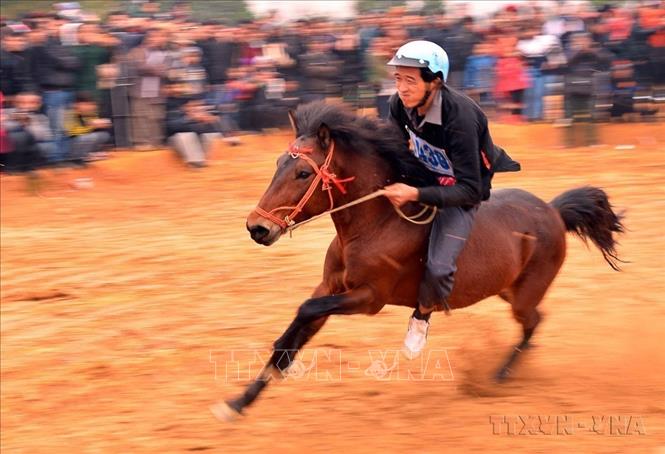 Hội đua ngựa Xuân Giáp Ngọ của dân tộc Mông tỉnh Lào Cai, với sự tham gia của 12 nài ngựa (15/2/2014). Ảnh: Thanh Hà - TTXVN