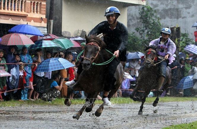 Các VĐV tranh tài trên đường đua chung kết tại Giải đua ngựa Bắc Hà truyền thống năm 2018. Ảnh: Quốc Khánh - TTXVN