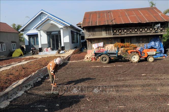 Cuộc sống thường nhật ở vùng nông thôn của đồng bào K'Ho Lâm Đồng, sống trong nhà mới vẫn lưu giữ căn nhà cổ của ông bà để lại. Ảnh: Chu Quốc Hùng- TTXVN