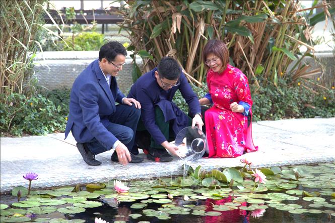 Đại diện Đại sứ quán Việt Nam tại Israel và cộng đồng người Việt thả cá chép ngày Tết ông Công, ông Táo. Ảnh: Thanh Bình - PV TTXVN tại Israel