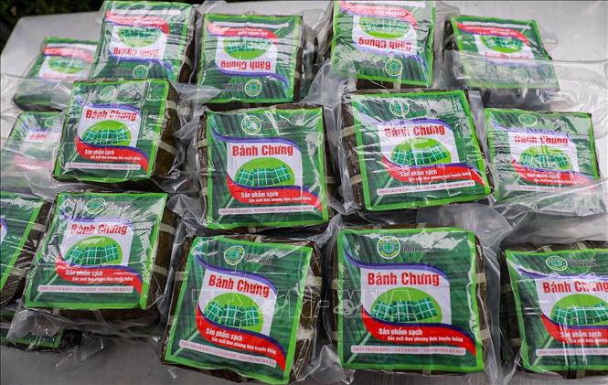 Sản phẩm bánh chưng làng Tranh Khúc (xã Nam Phù, Hà Nội) được đóng gói mang đi tiêu thụ khắp mọi miền Tổ quốc. Ảnh: Khánh Hoà - TTXVN