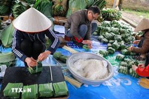 Làng bánh chưng Tranh Khúc vào vụ Tết Bính Ngọ