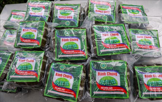 Tranh Khuc village's chung cakes are ready for selling everywhere across the nation. VNA Photo: Khánh Hoà