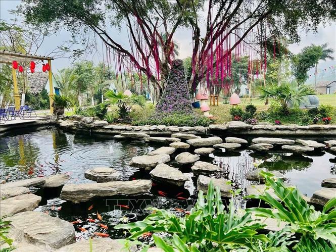 Khu du lịch sinh thái Hòn Mát, xã Nghĩa Lộc (Nghệ An) được trang trí bằng các thảm hoa rực rỡ và lần đầu tiên ra mắt trò chơi “Ném còn đầu Xuân” phục vụ du khách. Ảnh: TTXVN phát