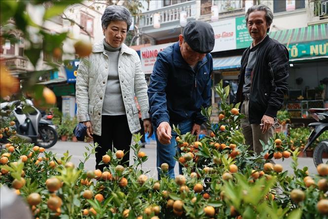 Người dân Thủ đô đến chợ hoa tham quan, mua sắm ngày giáp Tết. Ảnh: Minh Quyết - TTXVN
