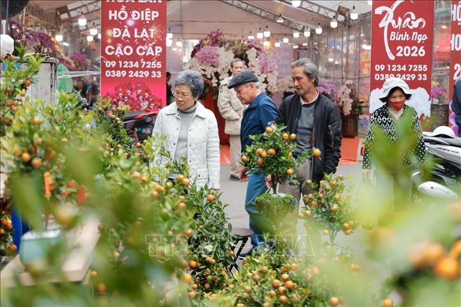 Đến chợ ngắm hoa những ngày giáp Tết là thói quen của nhiều người dân Hà Nội. Ảnh: Minh Quyết - TTXVN