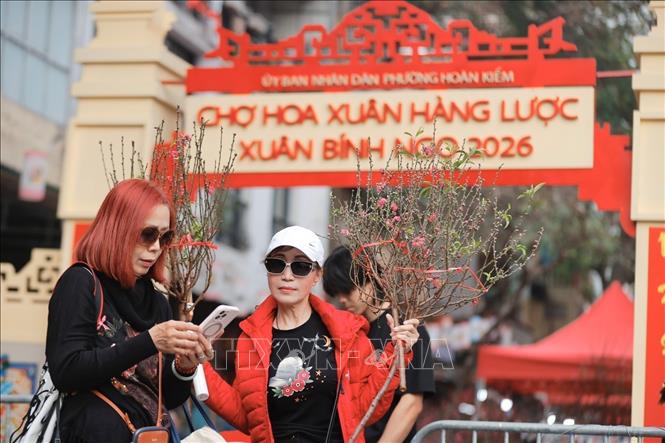 Năm nay, UBND phường Hoàn Kiếm mở rộng không gian chợ hoa nhằm tạo điểm đến hấp dẫn cho người dân và du khách vui chơi, sắm Tết trên các tuyến phố: Hàng Lược, Hàng Khoai, Hàng Rươi, Hàng Mã và tuyến phố bích họa Phùng Hưng. Ảnh: Minh Quyết - TTXVN